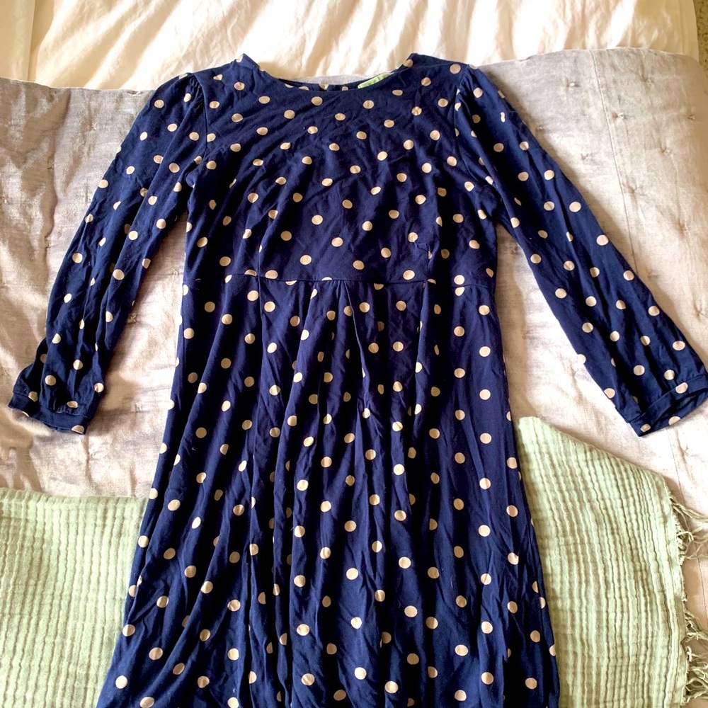 Velvet Anthropologie dress